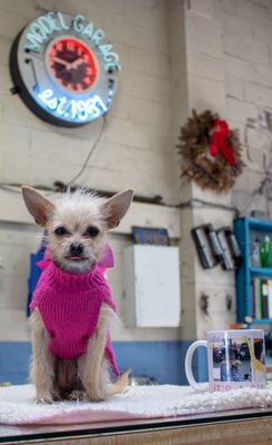 Photo of The Model Garage - Berkeley, CA, US. Customer relations manger hard at work.