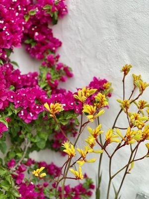 Photo of Terra Gardens - Berkeley, CA, US.