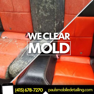 Photo of Paul's Mobile Detailing - San Francisco, CA, US. Mold #moldremoval