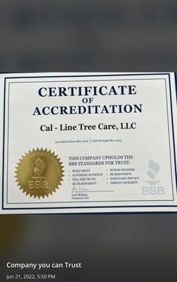 Photo of Cal-Line Tree Care - San Mateo - San Mateo, CA, US. Your Local Company You Can Trust