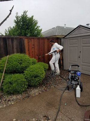 Photo of GoGarden - Daly City, CA, US. Fence pressure washer