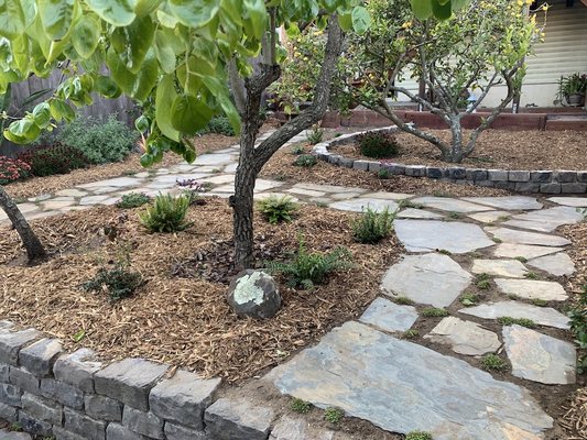 Photo of D A C Landscape S F - San Francisco, CA, US. a garden with a stone path and a tree