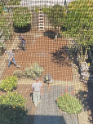 Photo of Discount Clean-Up Gardening - San Francisco, CA, US. Magical transition