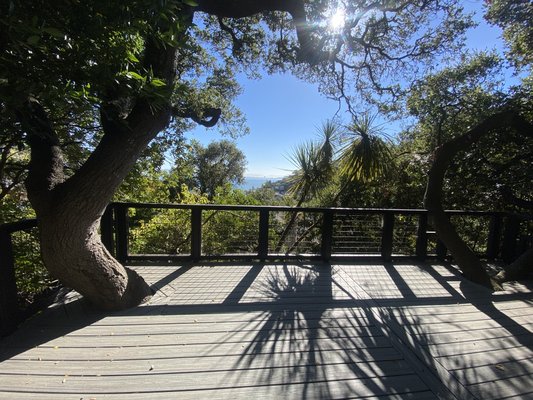 Photo of Liaison Landscapes - San Francisco, CA, US. Outdoor Carpentry / Decking. Incorporating existing trees to maintain natural appeal.