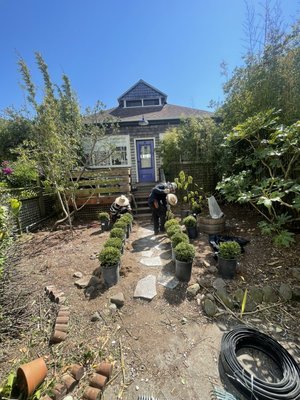 Photo of Sunrise Landscaping - San Francisco, CA, US. garden planting