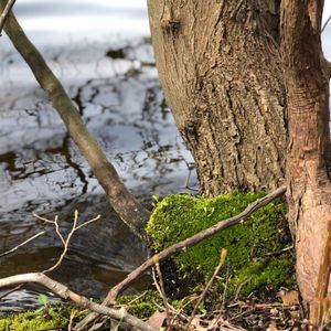 Trails to explore on Long Island