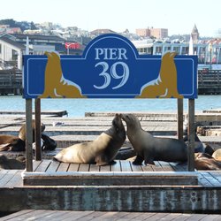 PIER 39