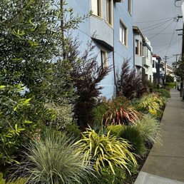 Photo of Forevergreen Landscape - San Francisco, CA, United States. 3/1/24
