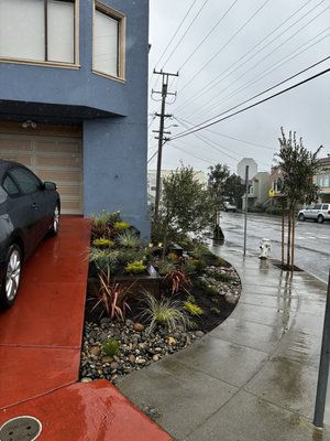 Photo of Forevergreen Landscape - San Francisco, CA, US. Early 2023