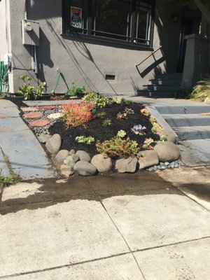 Photo of Haul U Need Yard Services - Berkeley, CA, US. #3 A finished product