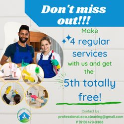 Professional Eco Cleaning