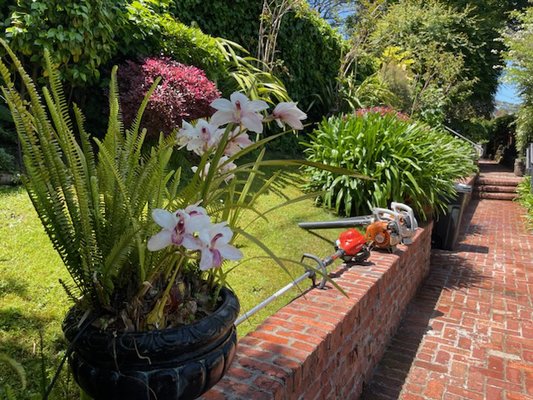 Photo of Orchid Landscaping & Gardening - San Francisco , CA, US. garden maintenance