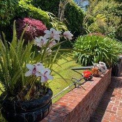 Orchid Landscaping & Gardening