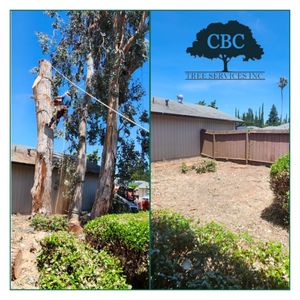 CBC Tree Services Inc on Yelp