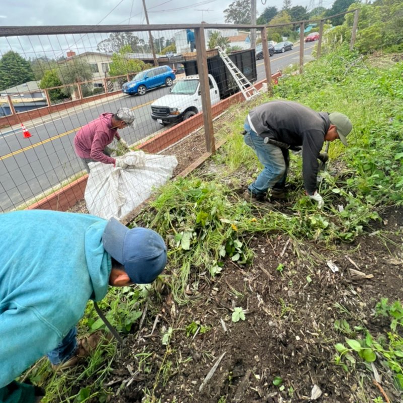 HAULING WEEDING 10%off