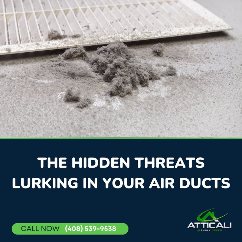 The Hidden Threats Lurking in Your Air Ducts