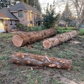 Redwood logs