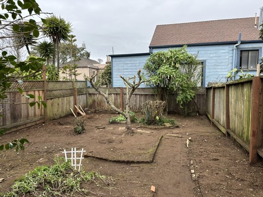 Removal of ugly trees and shrubs affecting the view of the Backyard and affecting the fence of the neighbors and my client