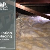 Insulation Replacement & Rodent Proofing
