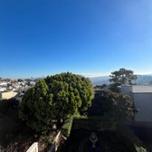 Twin Peaks tree pruning - Before Photo