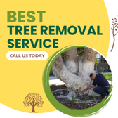 Tree Removal Services