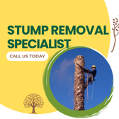 Stump Removal Services