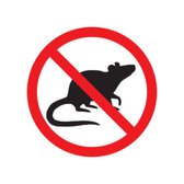 Mice and rats transmit diseases, bacteria, and viruses. On top of that, they are destructive to your home.