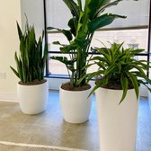 Plants installed in various container shapes and sizes adds visual variety