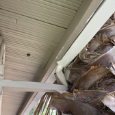 Tree harming home gutter emergency fix 