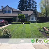 Sod Installation and Yard Cleaning services