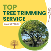 Tree Trimming Services