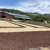The beautiful after- this winery is ready for its grand opening.