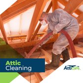 Attic Cleaning