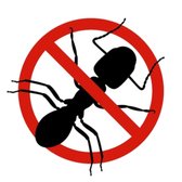 Make sure you select a professional who understands the biology of ants and has experience treating for the different kinds of ants.