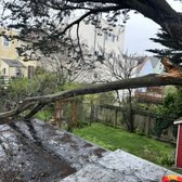 Cutting a very dangerous branch for the neighbors is now satisfied