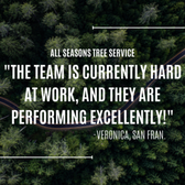 Thank you Veronica! Good to hear that the team is meeting your expectations. :) 