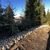 Sequoia trees planting with river bed installation