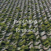 Roof Moss Removal