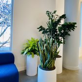 Our plant selections offer variety and visual interest to the front lobby.