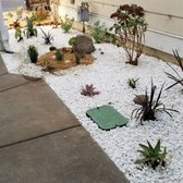 Crisp desert contrast with drought tolerant plants pop against reflective white rock