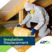 Insulation Replacement