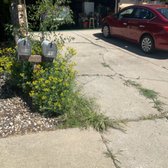 Existing driveway cracked and uneven