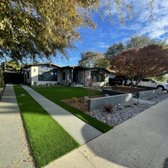 Front yard installation presenting Seaside Spring