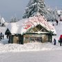 Grouse Mountain