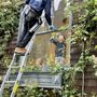 San Francisco Bay Window Cleaning