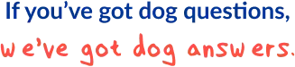 AKC branding text: If you've got dog questions, we've got dog answers