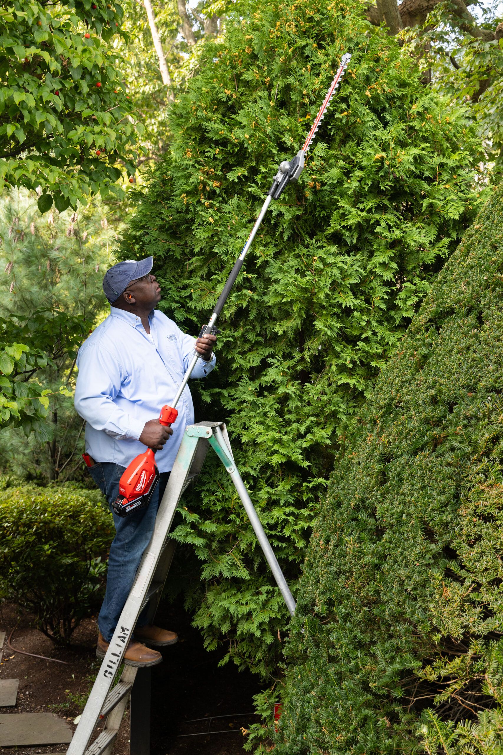 Lee Gilliam using a multihead tool to trim bushes 