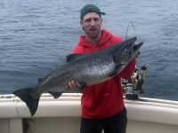 King Salmon