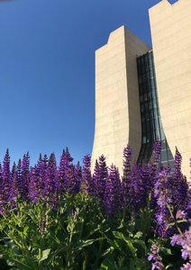 The beautiful Wilson Hall is at the center of our campus