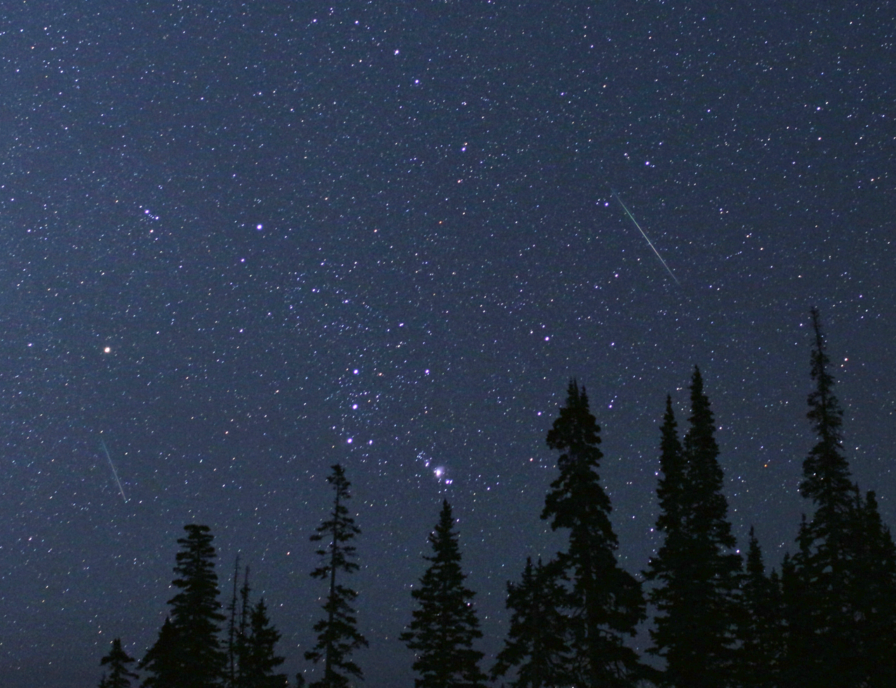 Starry night with meteors streaking above the trees. The constellation Orion is visible